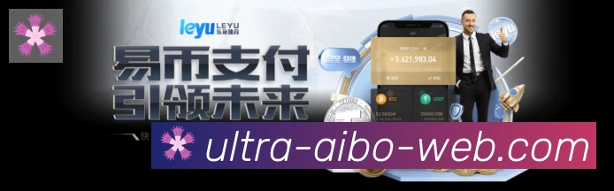 未来规划